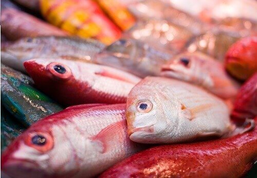 Kalan elohopea on yhdistetty autismiin