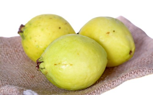 guavat kokonaisina