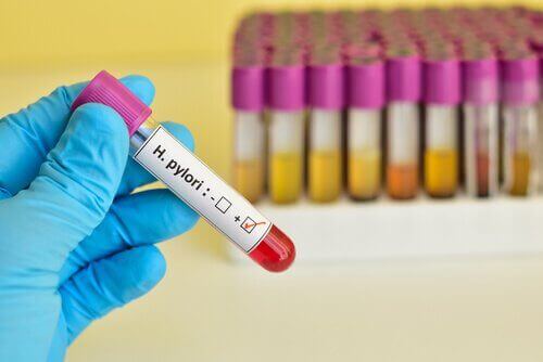 verinäyte h. pylori