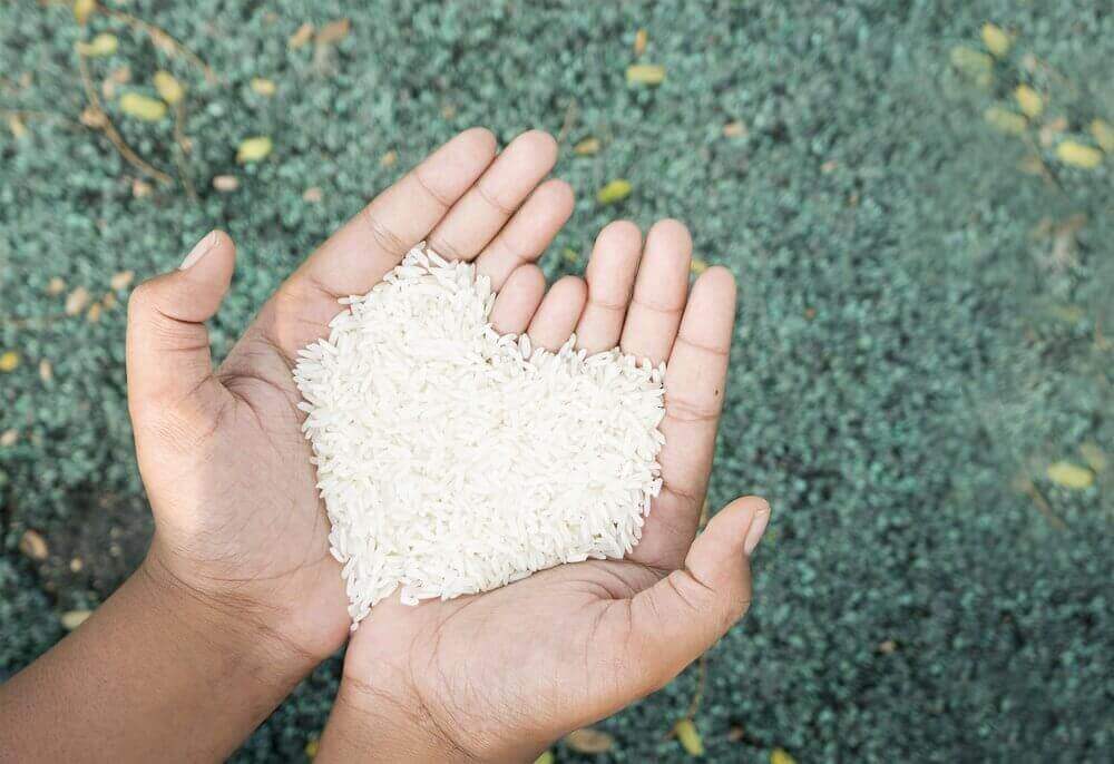 riisiä kämmenillä