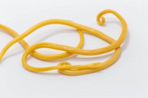 Eroon suolistomadoista punasipulihoidoilla