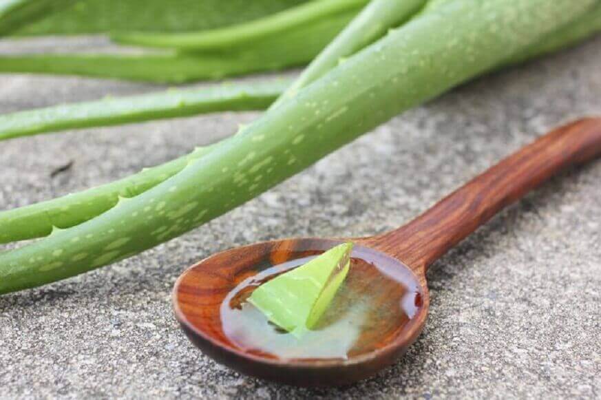 Aloe vera suojaa suun limakalvoja