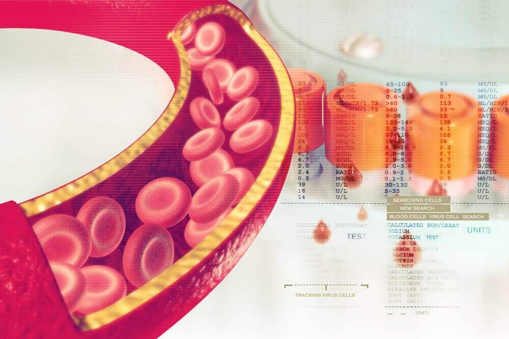 laskimot ja verisuonet