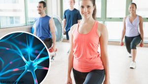 6 keinoa neuronien uudistamiseksi