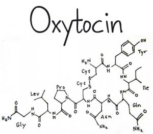Oksitosiini-hormoni: mikä se on ja mitä tehtäviä sillä on?