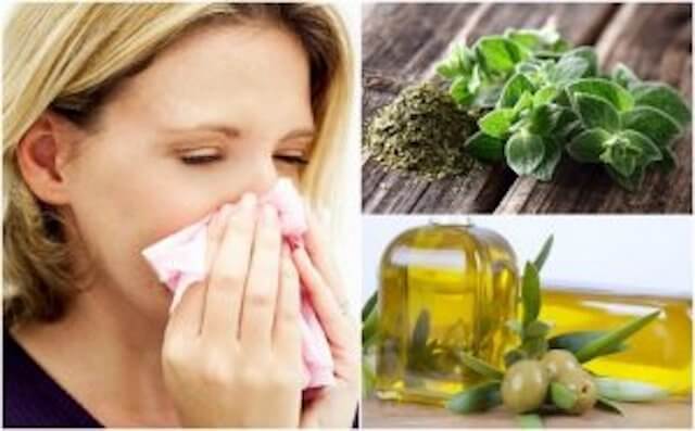 Hengitysteiden hoito oreganolla ja oliiviöljyllä