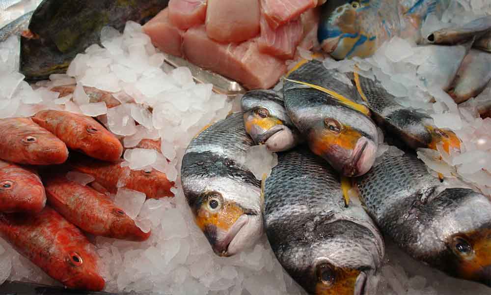 Pilaantuneen kalan tunnistaa hajusta ja ulkonäöstä