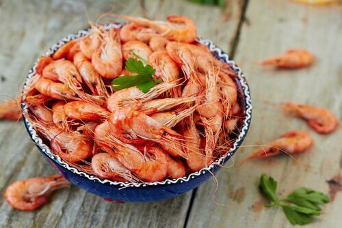 Katkaravut sisältävät paljon proteiinia