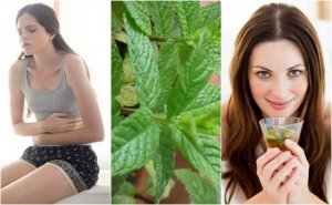 Kotihoitoja mintusta: 5 kätevää reseptiä