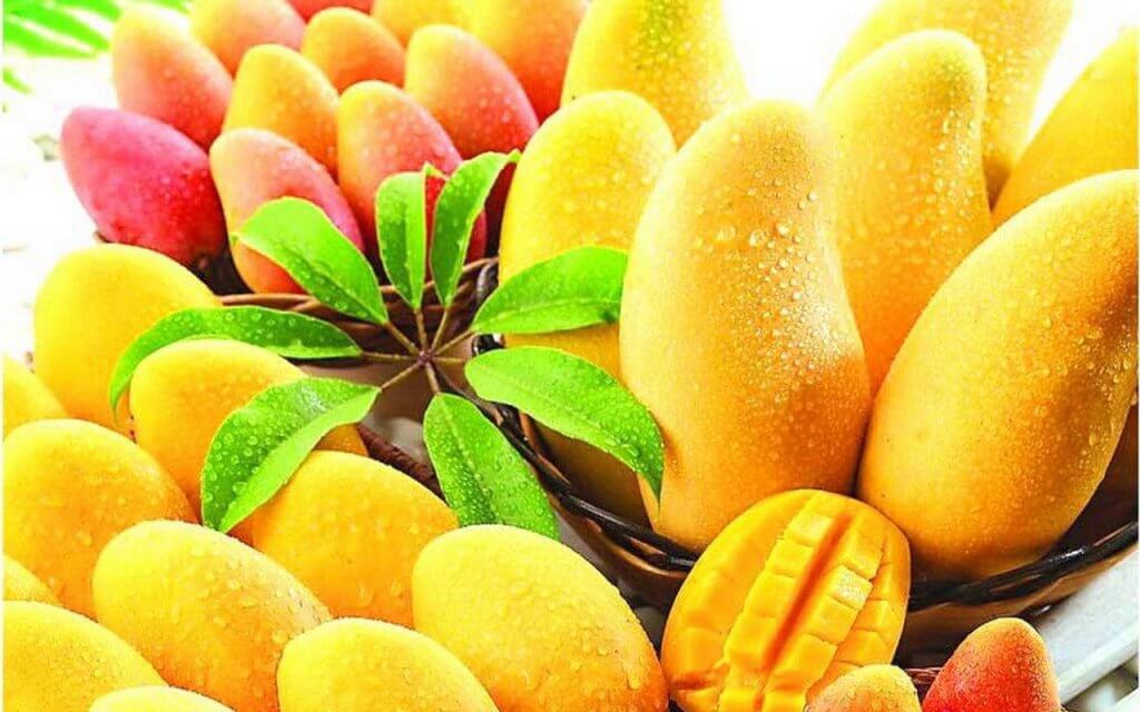 Mangojen E-vitamiini estää veren hyytymistä