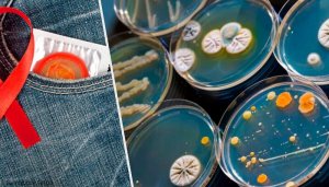 Sukupuolitauteja, joista tulee olla tietoinen