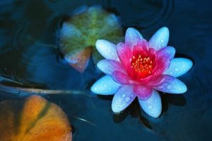 Taolaisuuden opetukset sisäisestä rauhasta