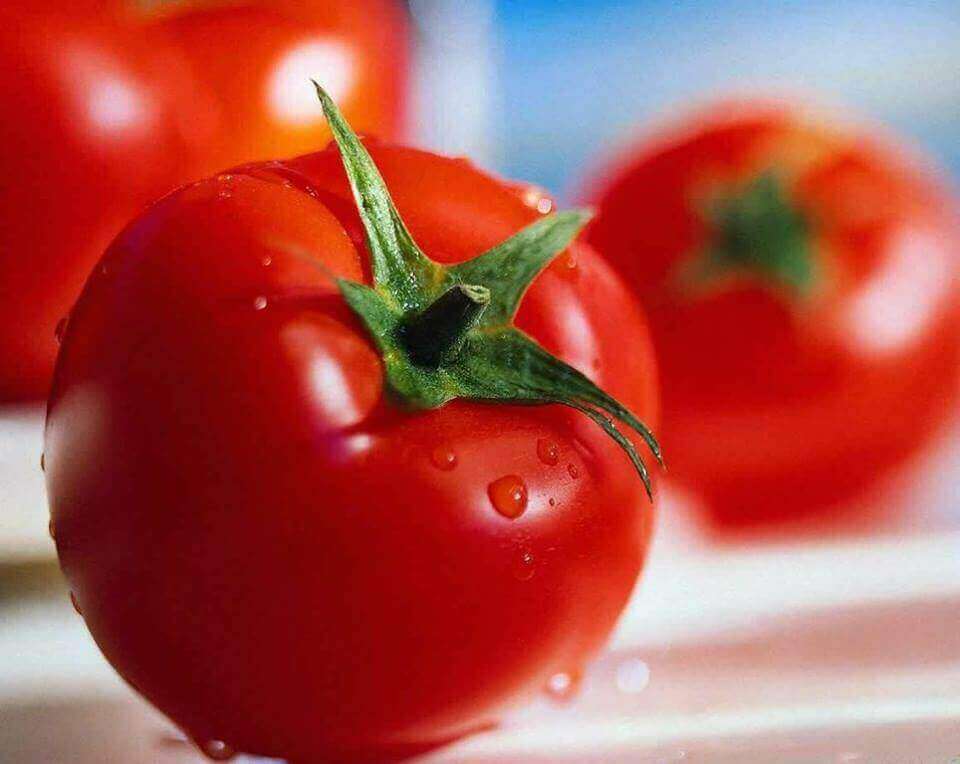 tomaatti ja lykopeeni