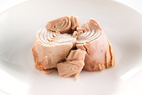 Tonnikala sisältää runsaasti keholle välttämättömiä Omega-3-rasvahappoja