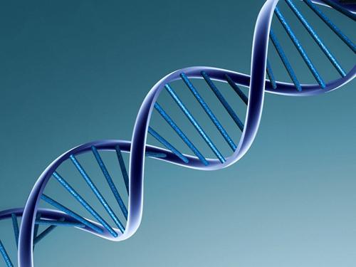 identtisten ja epäidenttisten kaksosten välisiä eroja: DNA