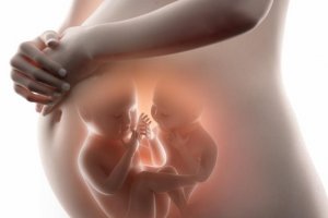 Tiedätkö identtisten ja epäidenttisten kaksosten välisen eron?