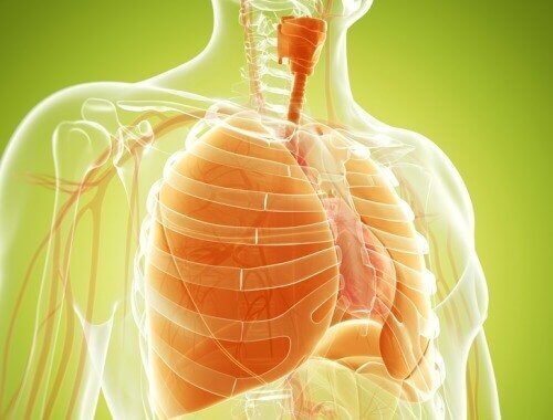 Vinkkejä keuhkojen puhdistamiseksi luontaishoidoilla