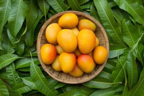 Näin käytät mangoa ummetuksen hoitoon