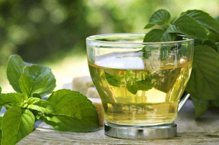 vihreää teetä ja minttua