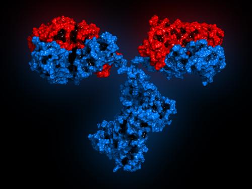 Vasta-aineita on erilaisia