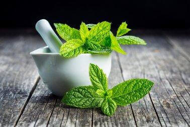 Luontaishoitoja oksentamisen lopettamiseksi mintusta