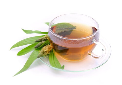 Ratamosta valmistettu tee ehkäisee ja hoitaa ummetusta tehokkaasti