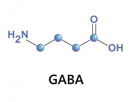 GABA