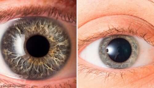 kun joku valehtelee sinulle, hänen pupillinsa muuttuvat