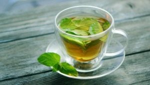 Minttuteen terveysominaisuudet
