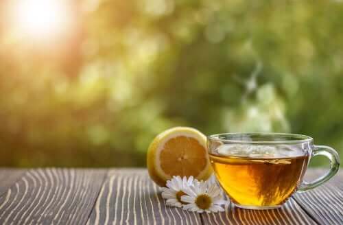 Kamomilla auttaa hoitamaan aftoja