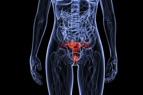 Ihmisen papilloomavirus voi ilmetä monissa eri kehonosissa
