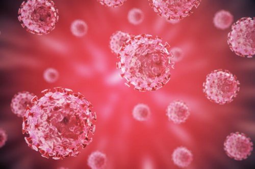 Ihmisen papilloomaviruksia on löydetty jo yli 200 eri tyyppiä