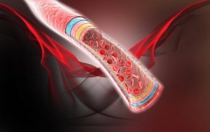 Verenkierron vilkastaminen neljällä luontaishoidolla