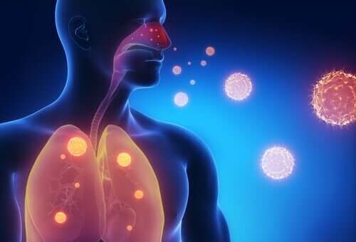 Influenssaoireiden lievitys kolmella tehokkaalla haudukkeella