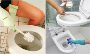 Näin poistat WC-pöntön pinttymät luonnollisesti