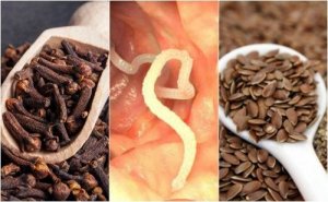 Poista elimistön parasiitit neilikalla ja pellavansiemenillä