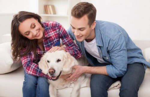 Lemmikki on osa perhettä