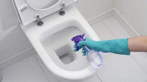 Valkoviinietikka on yksi niistä ekologisista puhdistusaineista, jotka auttavat poistamaan WC-pöntön pinttymät tehokkaasti