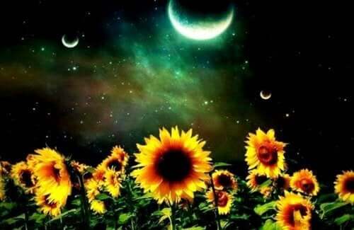 Kuu paistaa kesäyönä.