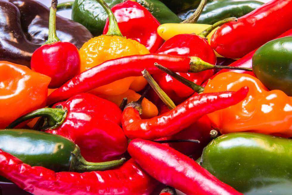 Yliaktiivinen virtsarakko on tila, joka voi pahentua mausteisia ruokia syömällä