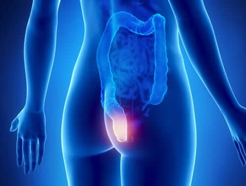 Suoli on vastuussa monien myrkkyjen ja sellaisten elementtien poistamisesta, jotka voivat elimistöön kertyessään vahingoittaa terveyttämme