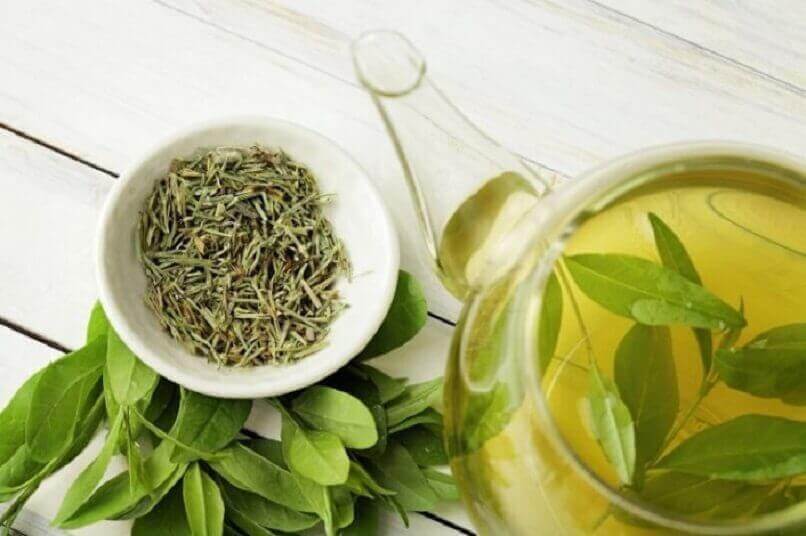 Ennenaikaisen ikääntymisen ehkäisy juomalla vihreää teetä