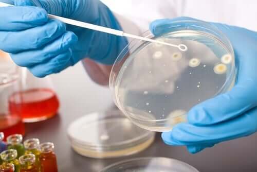 Mikrobilääkkeet sopivat monipuolisesti sovellettavaksi sekä eläinlääketieteessä että ihmisten lääketieteessä torjumaan niin bakteereiden kuin loisten aiheuttamia infektioita