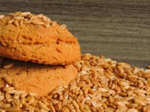 Sokerittomat kaura-jogurttikeksit