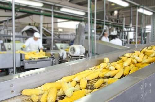 Teollisten prosessien vaikutus elintarvikkeiden ravintoarvoon