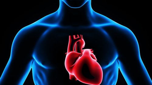Sydämensisäistä lääkitystä annettaessa lääke siirtyy suoraan sydämeen, jolloin lääkkeen vaikutus voidaan nähdä elimistössä välittömästi