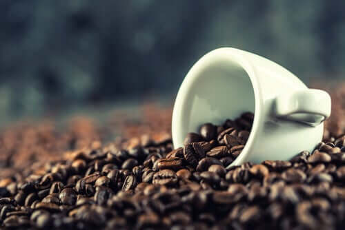 Kofeiini toimii luonnollisena stimulanttina, joka auttaa sekä parantamaan että ylläpitämään aivojen terveyttä ja suorituskykyä