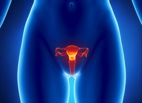 Useimmissa tapauksissa munasarjojen toiminnan ennenaikaisen hiipumisen hoidossa keskitytään estrogeenivajeen aiheuttamien seurauksien korjaamiseen