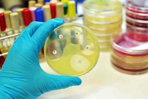 Antibiootit tuhoavat virtsatietulehduksen aiheuttaneet bakteerit
