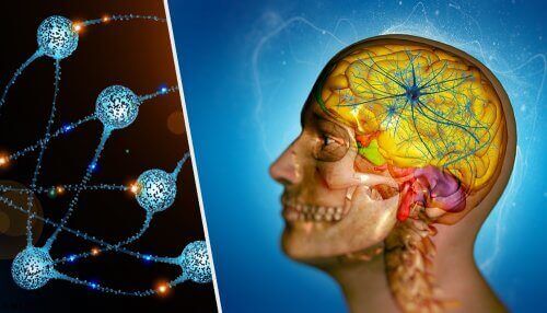 Aivojen etäpesäkkeet ovat yleinen syöpämuoto.